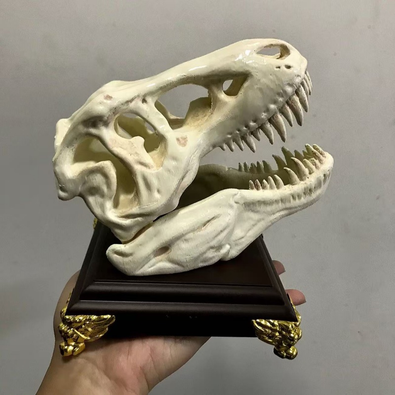 3D Printing Enthusiast - 3D-geprint Tyrannosaurus Rex schedelmodel aquarium bureaublad