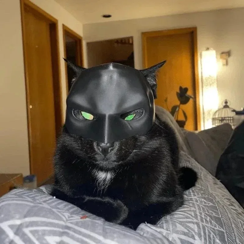 3D Printing Foto - 3D-geprinte Cat Avenger Masker Bat Cosplay
