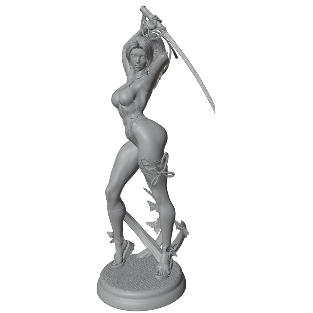 1/24 Vrouw 	 Warrior Resin Mod - 3D Printing Jobs recensie en prijs