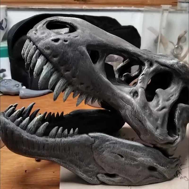 3D-geprint Tyrannosaurus Rex s - 3D Printing Enthusiast recensie en prijs