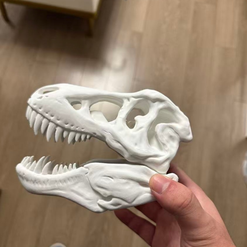 3D-geprint Tyrannosaurus Rex s - 3D Printing Enthusiast recensie en prijs